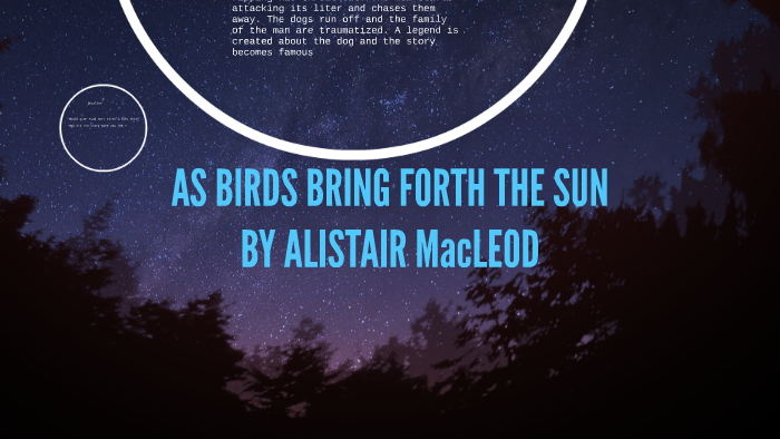 as birds bring forth the sun pdf